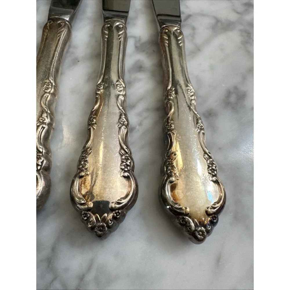 Vtg Reed & Barton DRESDEN ROSE Set Of 4 Silverplate/Mirrorsteel Dinner Knives